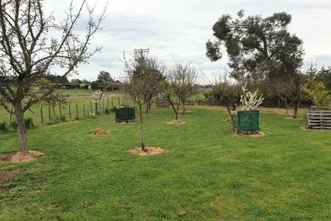 Photo of property in 425 Te Kura Road, Otane, 4277