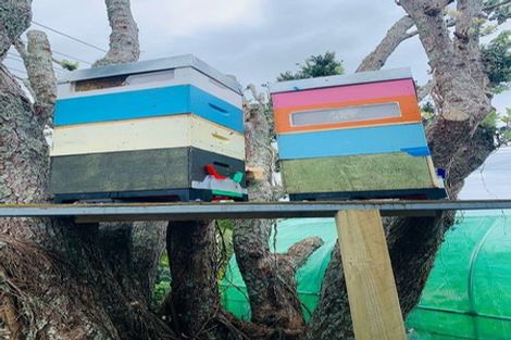 Photo of property in 103 Stanmore Bay Road, Stanmore Bay, Whangaparaoa, 0932