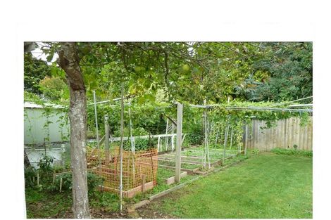 Photo of property in 2/6 Bowling Avenue, Epsom, Auckland, 1023