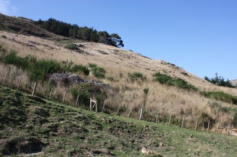 Photo of property in 290 Harington Point Road, Lower Portobello, Dunedin, 9077