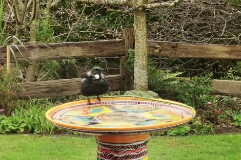 Photo of property in 25 Acornia Close, Ohauiti, Tauranga, 3112