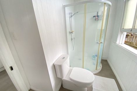 Photo of property in 25 Aitken Terrace, Kingsland, Auckland, 1021