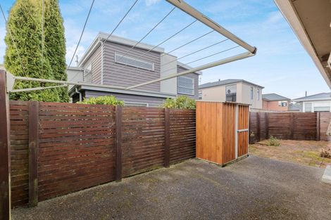 Photo of property in 16 Salisbury Avenue, Terrace End, Palmerston North, 4410