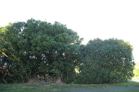 Photo of property in 70 Manapouri Street, Ravensbourne, Dunedin, 9022