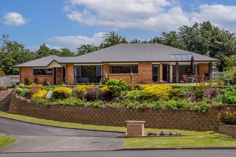 Photo of property in 17 Ruahine Street, Dannevirke, 4930