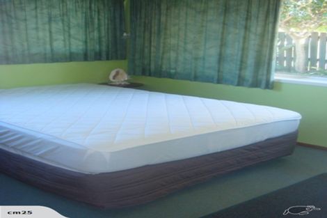 Photo of property in 47 Harvey Street, Tauranga South, Tauranga, 3112