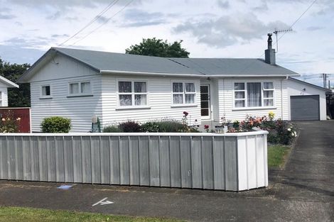 Photo of property in 11 Cobham Street, Levin, 5510