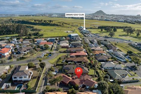 Photo of property in 14 Claridge Place, Mount Maunganui, 3116