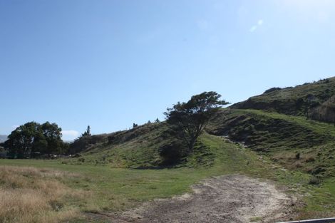 Photo of property in 290 Harington Point Road, Lower Portobello, Dunedin, 9077