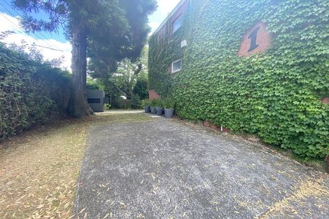 Photo of property in 1h Albury Avenue, Epsom, Auckland, 1023