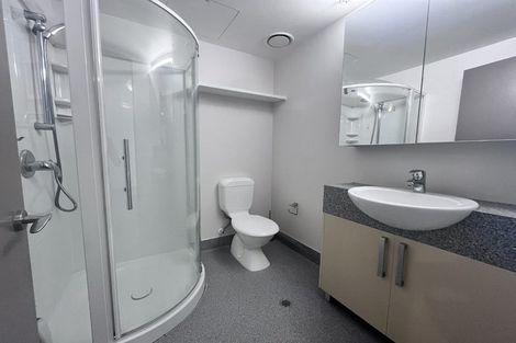 Photo of property in Dual Apartments, 401/142 Vivian Street, Te Aro, Wellington, 6011