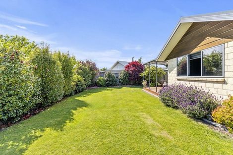 Photo of property in 45a Havelock Street, Renwick, 7204