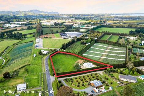 Photo of property in 50 Tetley Road, Tahawai, Katikati, 3178