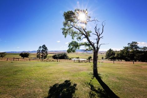 Photo of property in Oturehua Lodge, 74 Lockhart Road, Oturehua, 9386
