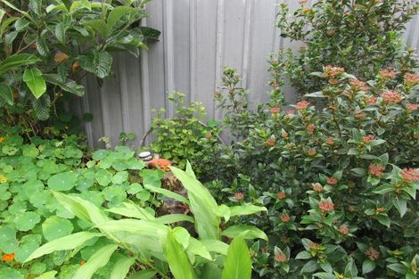 Photo of property in 81 Ward Street, Cobden, Greymouth, 7802