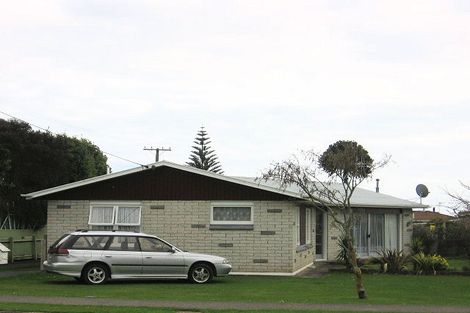 Photo of property in 71 Tiro Tiro Road, Levin, 5510