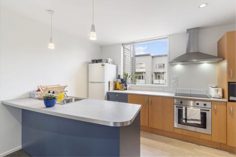 Photo of property in 20 Ngaoho Place, Parnell, Auckland, 1010