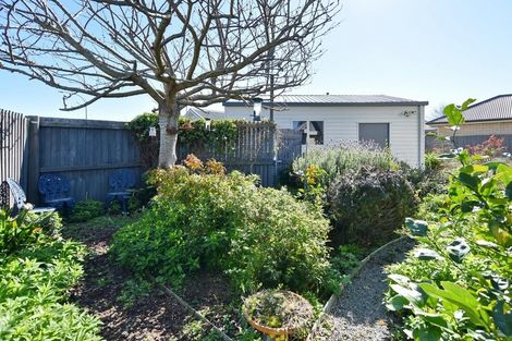 Photo of property in 26 Morris Road, Amberley, 7410