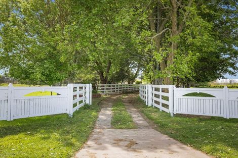 Photo of property in 237 Taihoa Road South, Matamata, 3473