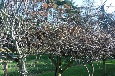 Photo of property in 2 Te Kumi Station Road, Te Kuiti, 3985