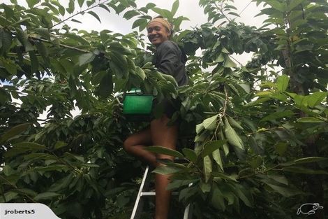 Photo of property in 66 Gladsmuir Road, Queensberry, Cromwell, 9383