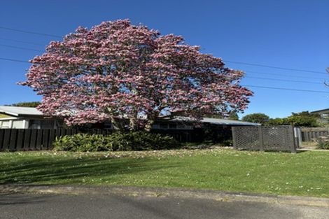 Photo of property in 7a May Street, Hamilton East, Hamilton, 3216