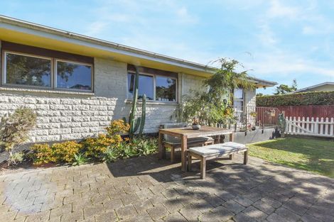 Photo of property in 4/87 Cambria Street, The Wood, Nelson, 7010