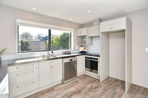 Photo of property in 9b Amstel Lane, Richmond, Christchurch, 8013