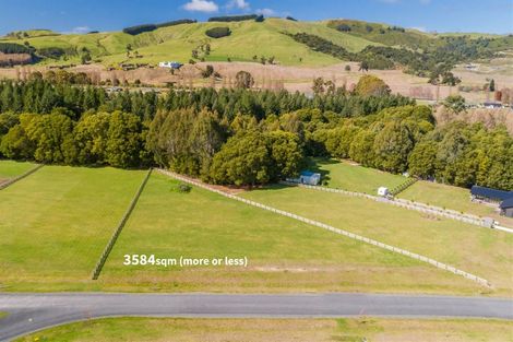 Photo of property in 18 Lancewood Way, Kinloch, Taupo, 3377