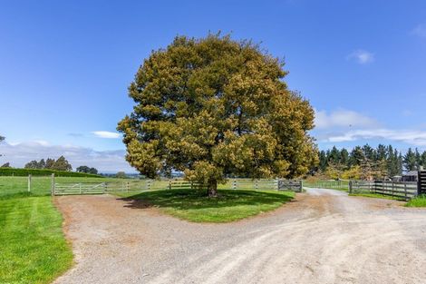 Photo of property in 59 Terrace Road, Cust, Rangiora, 7471