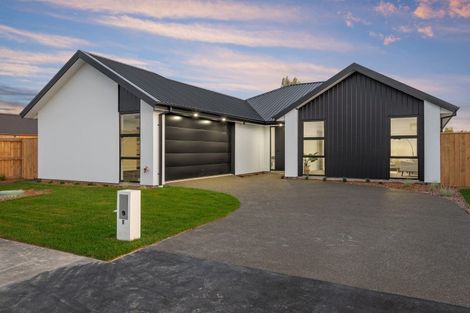Photo of property in 7 Mills Road, Marshland, Christchurch, 8051