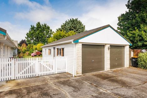 Photo of property in 144 Winchester Street, Ashhurst, 4810