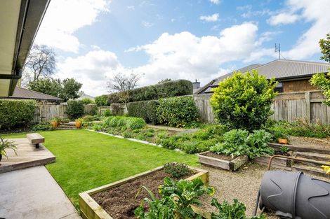 Photo of property in 20 Brancaster Place, Cambridge, 3434