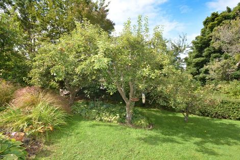 Photo of property in 50 Argyle Street, Mornington, Dunedin, 9011