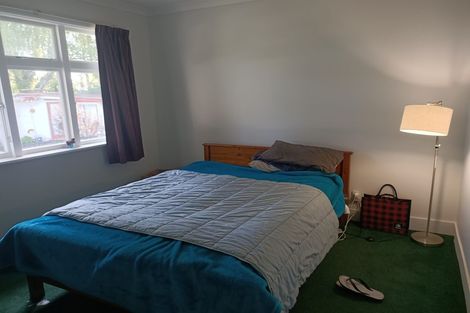 Photo of property in 17 Patton Street, Methven, 7730