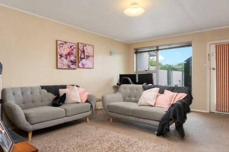 Photo of property in 93 Scott Street, Blenheim, 7201