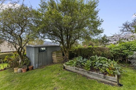 Photo of property in 39 Skibo Street, Kew, Dunedin, 9012