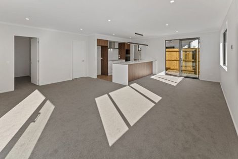 Photo of property in 20 Lampton Street, Richmond, 7020