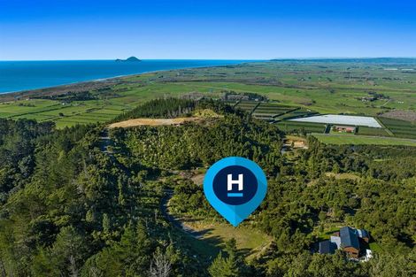 Photo of property in 197 Kokako Heights, Matata, 3194