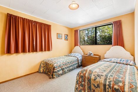 Photo of property in 479 Manuherikia Road, Springvale, Alexandra, 9393