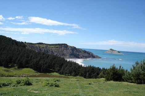 Photo of property in 399 Te Apiti Road, Waimarama, Havelock North, 4294