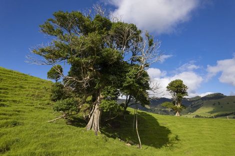 Photo of property in 73 Takahue Saddle Road, Takahue, Kaitaia, 0481