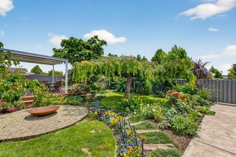 Photo of property in 419 Brunswick Street, Saint Leonards, Hastings, 4120