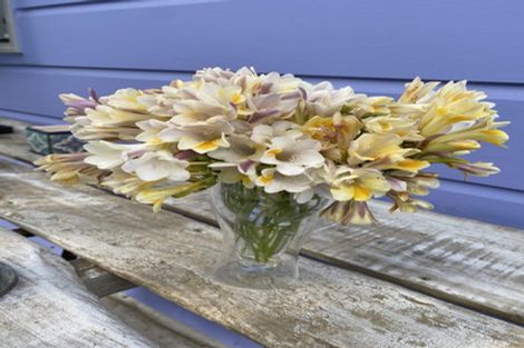 Photo of property in 16 Makorori Beach Road, Makorori, Gisborne, 4073