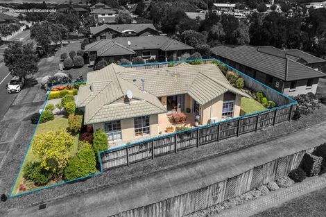 Photo of property in 88 Buscomb Avenue, Henderson, Auckland, 0610