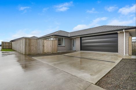 Photo of property in 55a Fenton Street, Stratford, 4332