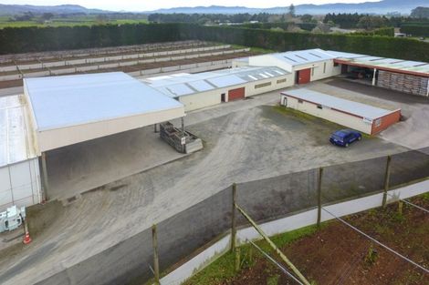 Photo of property in 11 Trig Road, Waihi, 3681