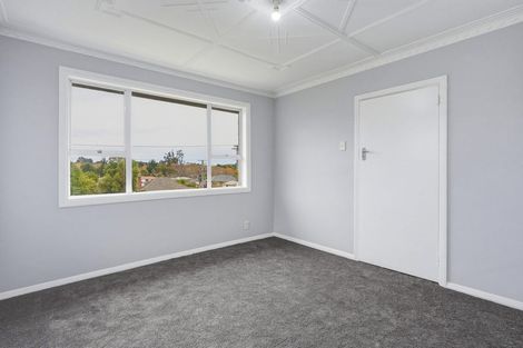 Photo of property in 301 Main South Road, Green Island, Dunedin, 9018
