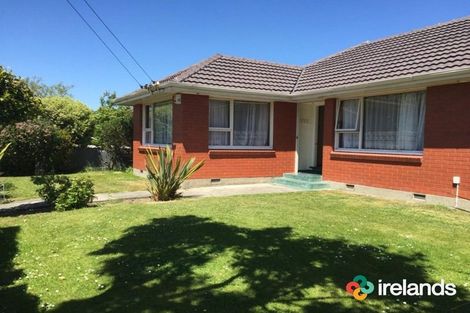 Photo of property in 20 Pamela Street, Linwood, Christchurch, 8062