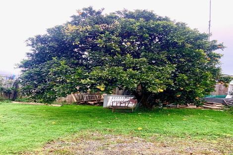 Photo of property in 5a Dudley Street, Levin, 5510